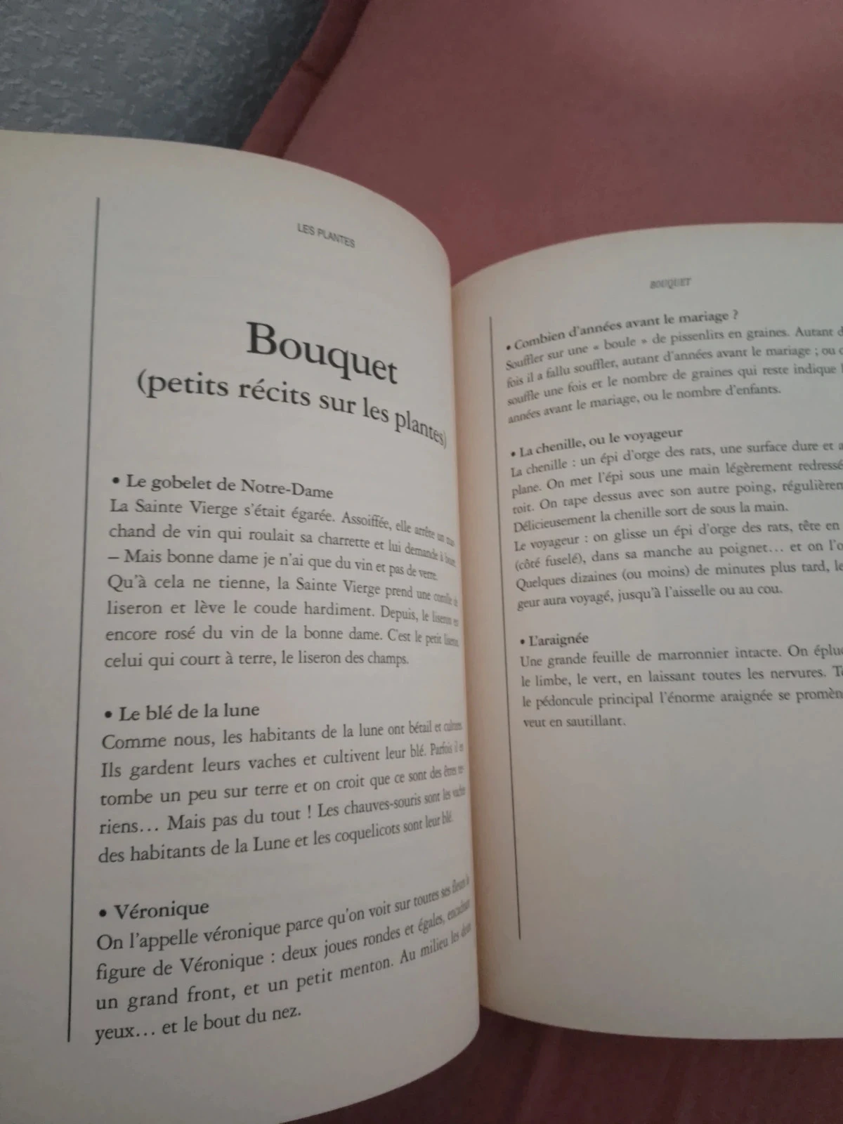 milles ans de contes sur les sentiers – photo 3